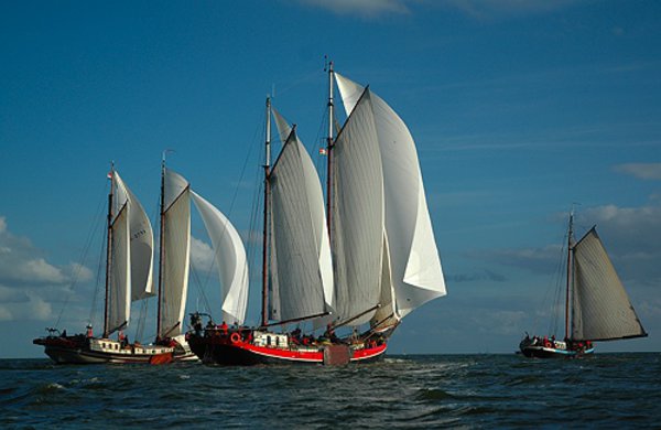 Holland Sail nimmt teil an: