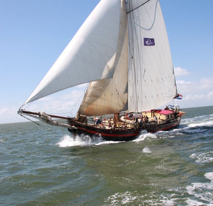 Gästen bewerten Holland Sail